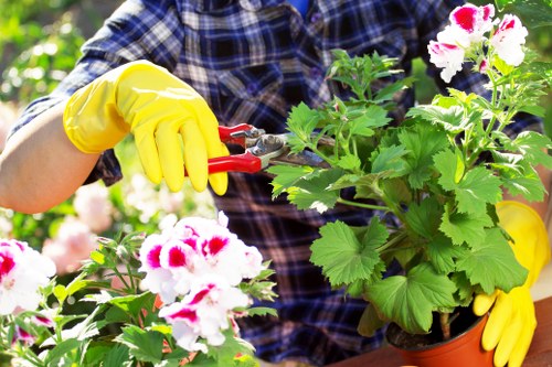 Illustration of cookie settings for Gardeners Colyers