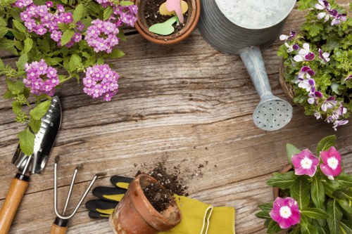 Professional tree surgery in Colyers for safe and healthy trees