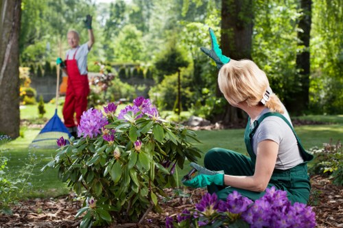 Gardening team preparing an outdoor service agreement