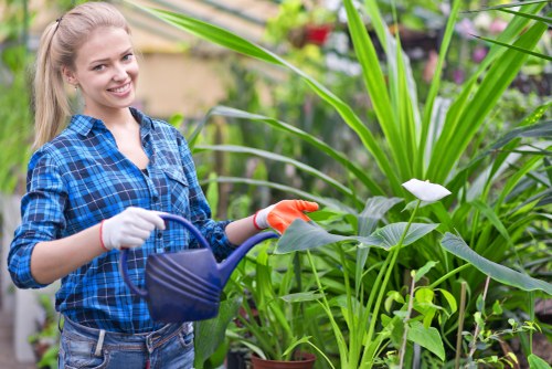 Professional gardening support in Colyers for tidy landscapes