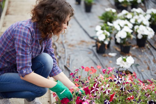 Landscape gardening in Colyers with patio and planting design