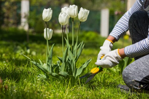 Seasonal garden care by Colyers gardeners in a local outdoor space