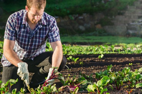 Accessible Gardeners Colyers website with inclusive navigation