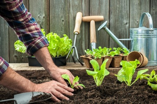 Professional gardeners in Colyers creating balanced garden spaces