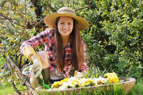 Seasonal hedge trimming in Colyers for healthy growth