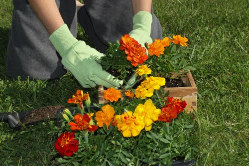 Aeration and lawn treatment for Colyers properties