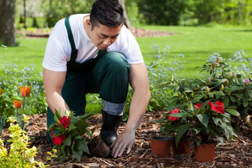 Colyers garden maintenance creating a beautiful outdoor setting