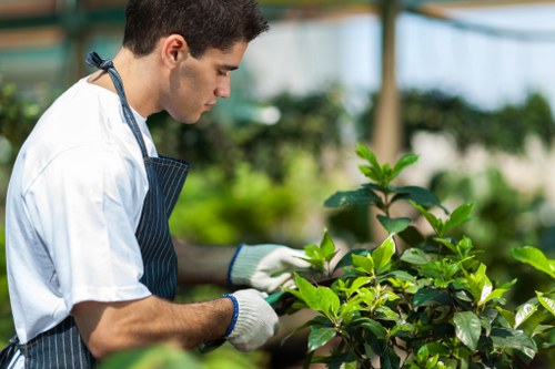 Risk-based supplier audit and monitoring process