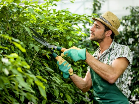 Safe and insured garden maintenance by Gardeners Colyers