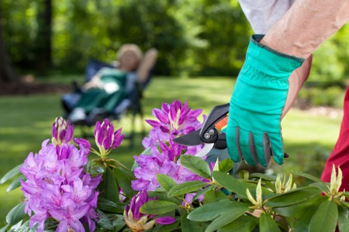 Gardener discussing service terms and payment conditions