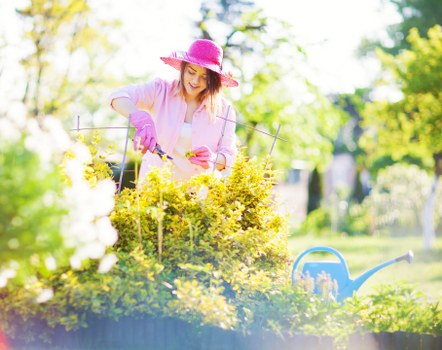 Green waste handling and lawful garden disposal