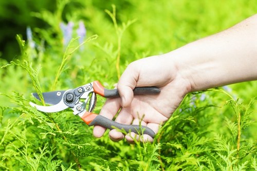 Local transfer station handling green garden waste