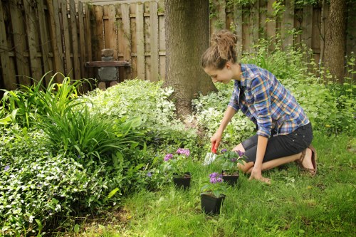 Close-up of mower trimming a lawn in Colyers