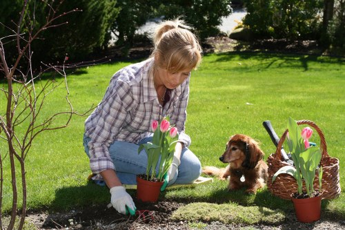 Autumn garden maintenance in Colyers with leaf clearance and tidy borders