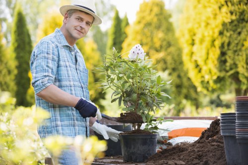 Removal of branches and garden waste in Colyers