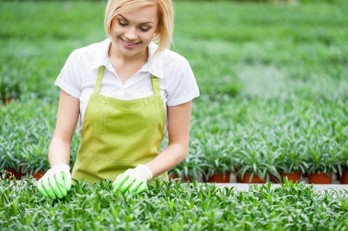 Well-shaped hedge maintenance in Colyers by a skilled service