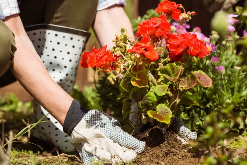 Gardeners Colyers shaping neat and attractive outdoor areas