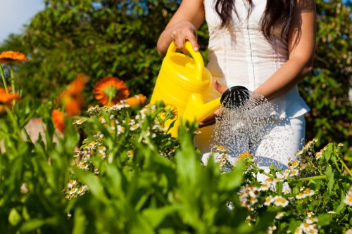 A well-kept Colyers garden with healthy planting and lawn care