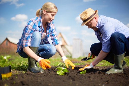 A formal service review in the gardening sector with discreet handling