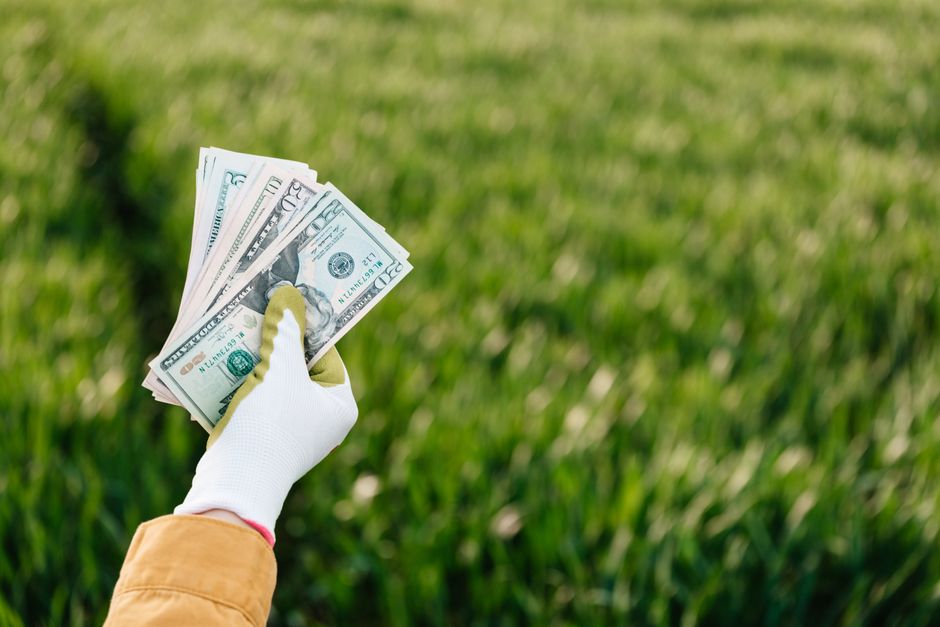 A gloved hand holding a fanned-out stack of US twenty-dollar bills over a lush, well-maintained grassy garden area with vibrant green grass blades. In the background, the garden features neatly edged 