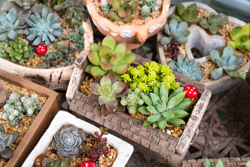 hedge trimming hedge cutting